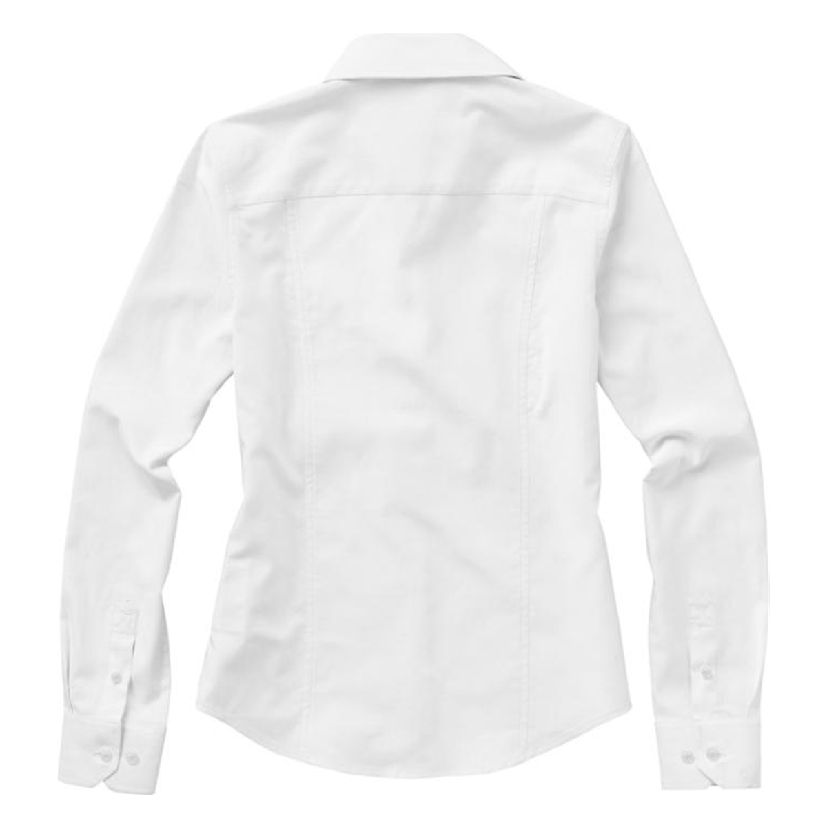Valliant Long Sleeve Womens Oxford Shirt