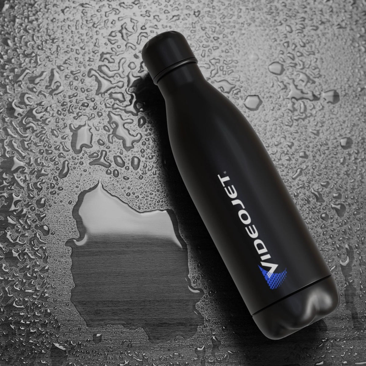 Cove Water Bottle